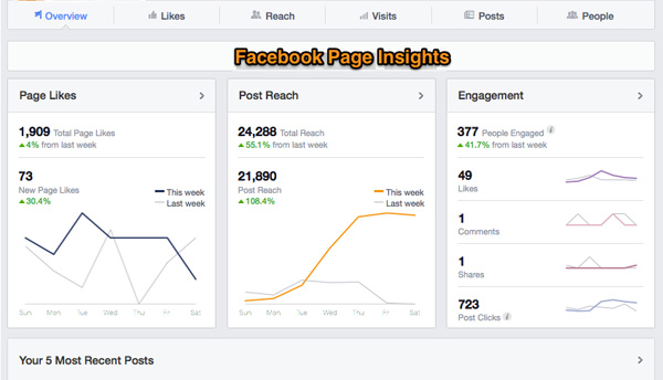 FB-Insights