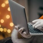 Happy Holidays 2022 from Rosemont Media